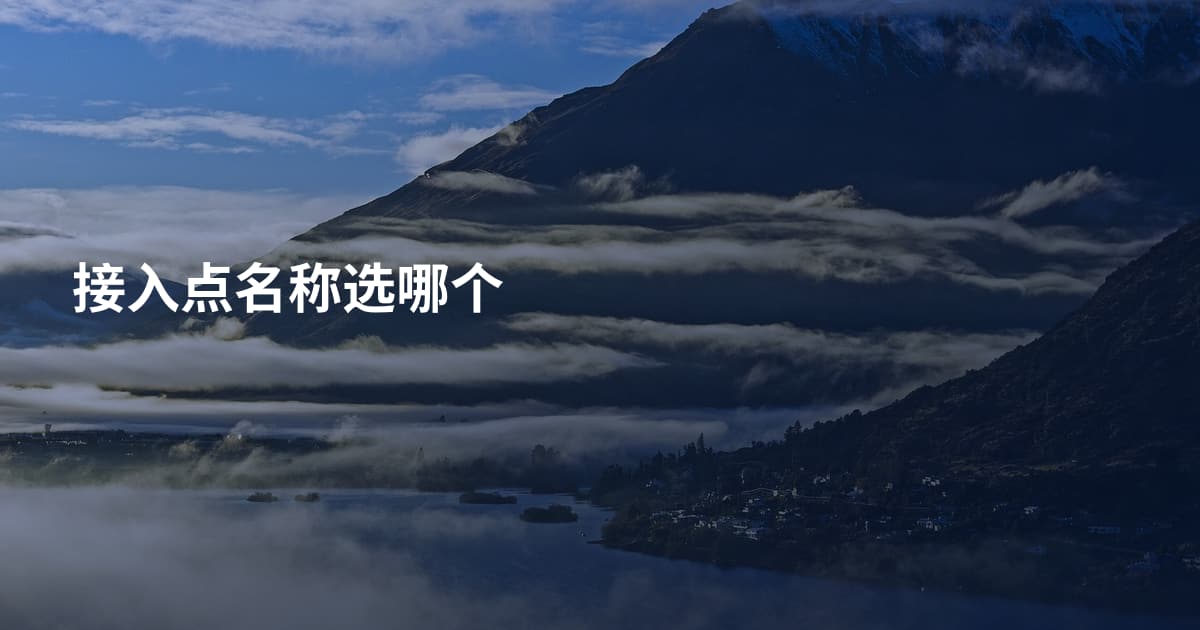 接入点名称选哪个