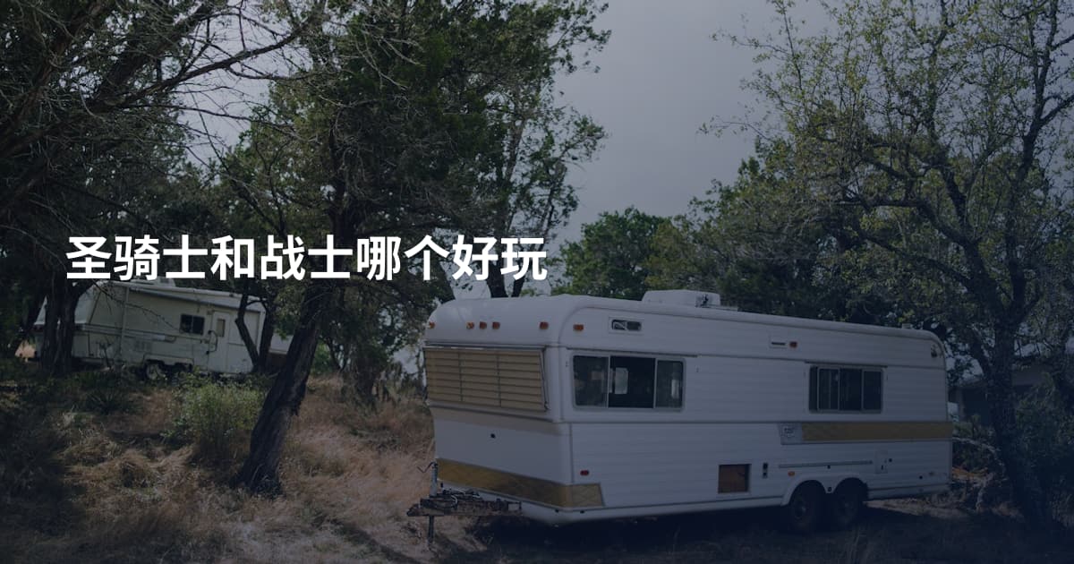 圣骑士和战士哪个好玩