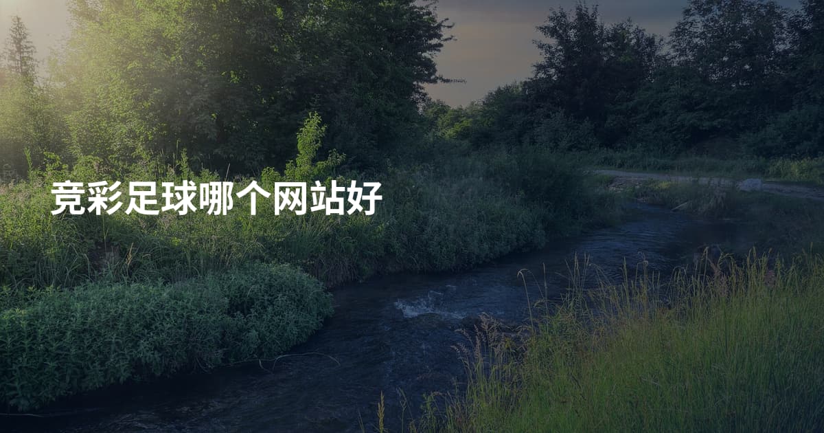 竞彩足球哪个网站好