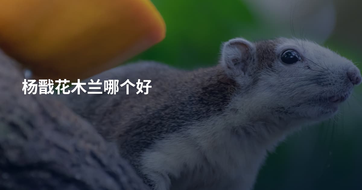 杨戬花木兰哪个好