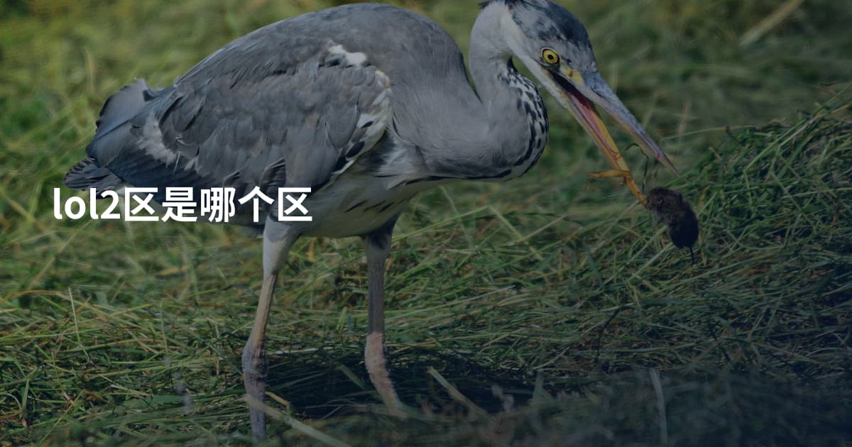 lol2区是哪个区