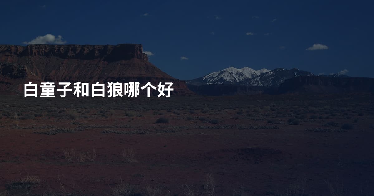白童子和白狼哪个好