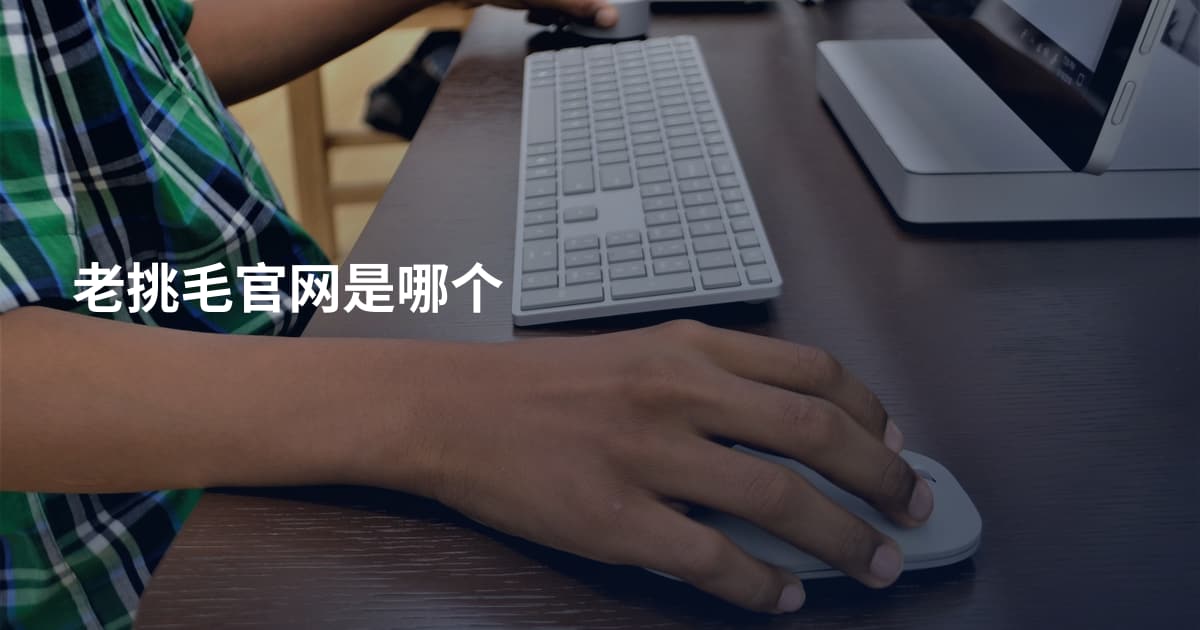 老挑毛官网是哪个