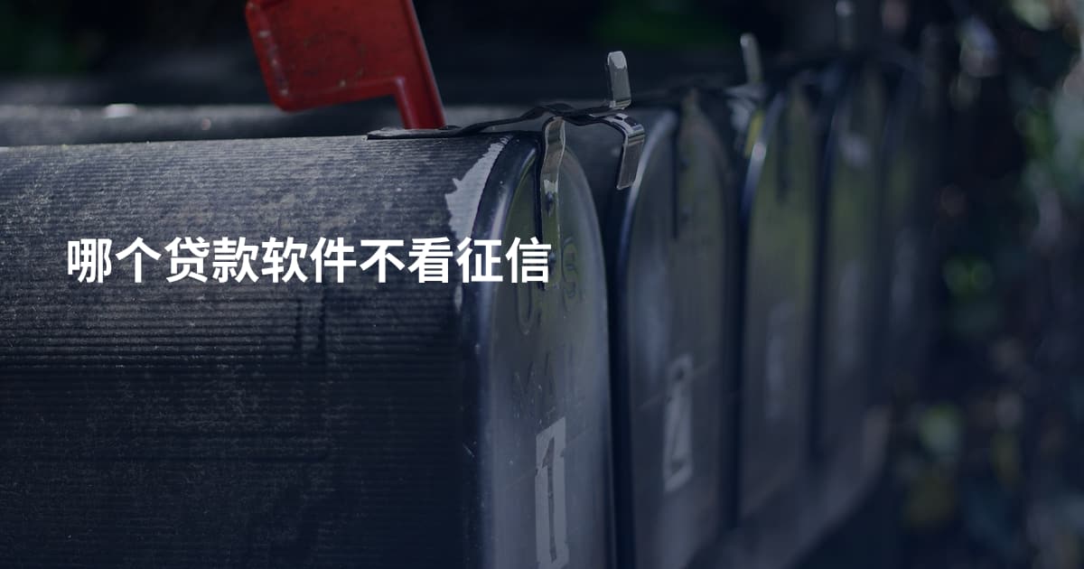 哪个贷款软件不看征信