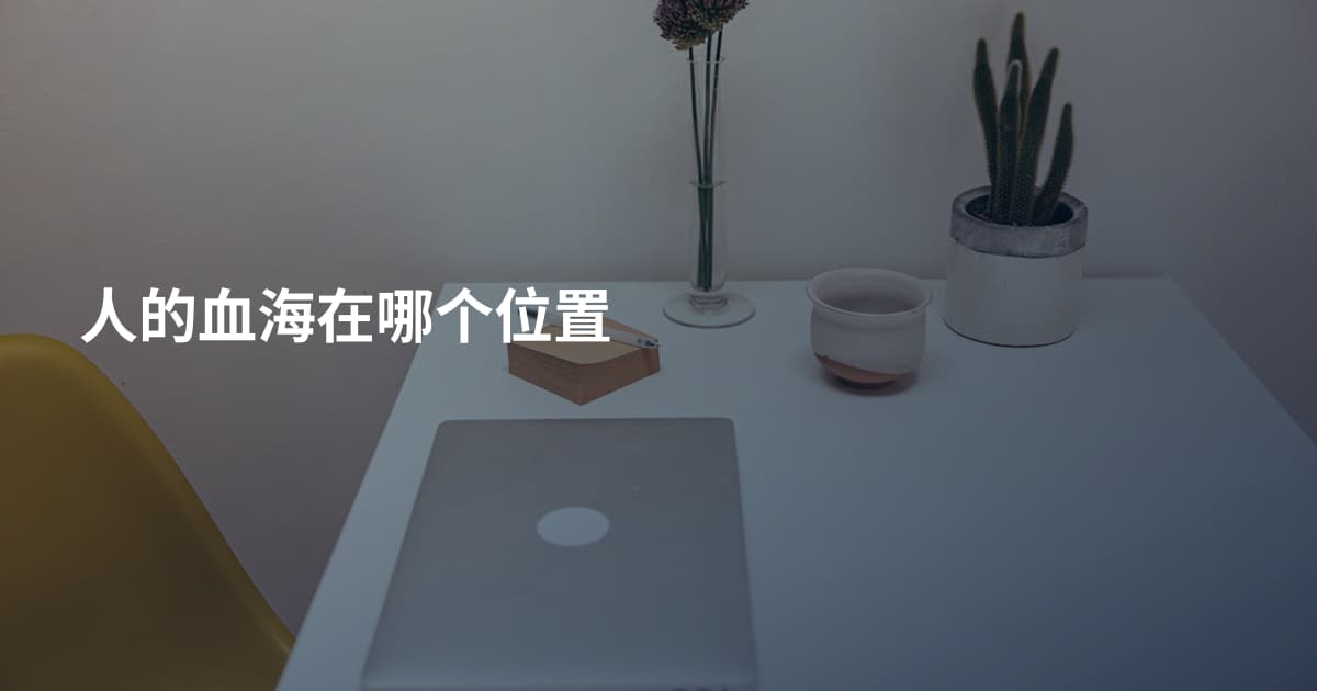 人的血海在哪个位置