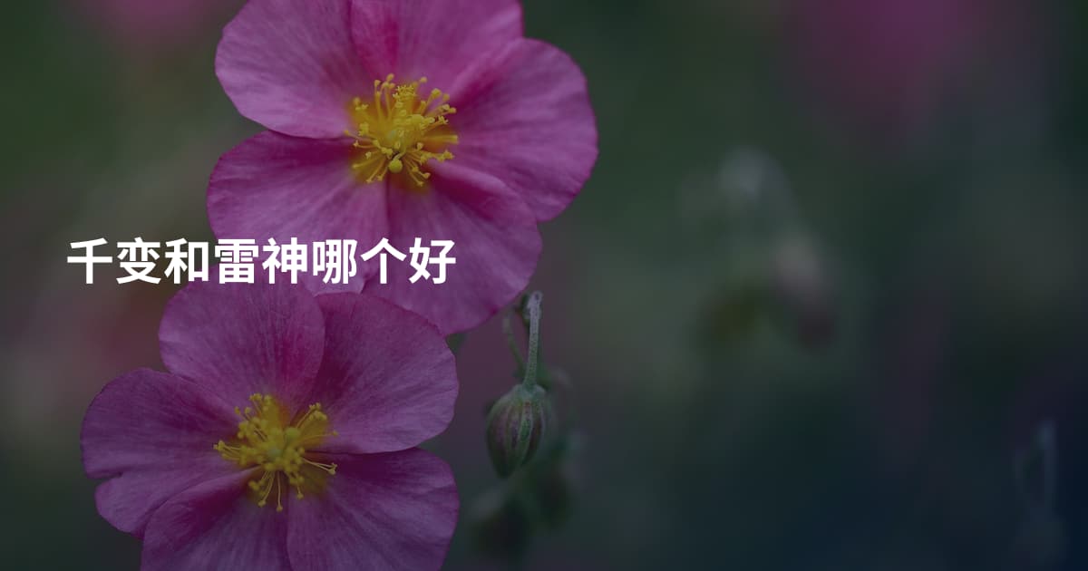 千变和雷神哪个好