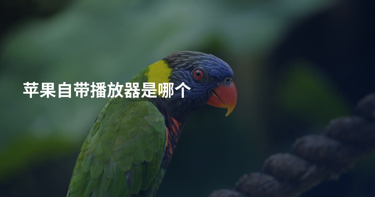 苹果自带播放器是哪个