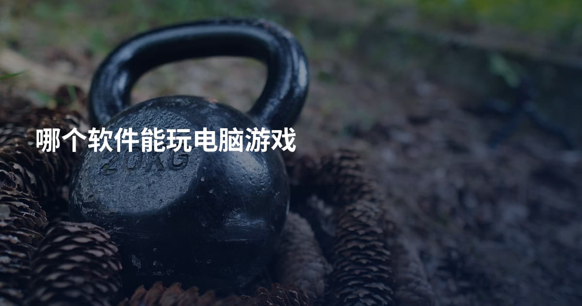 哪个软件能玩电脑游戏