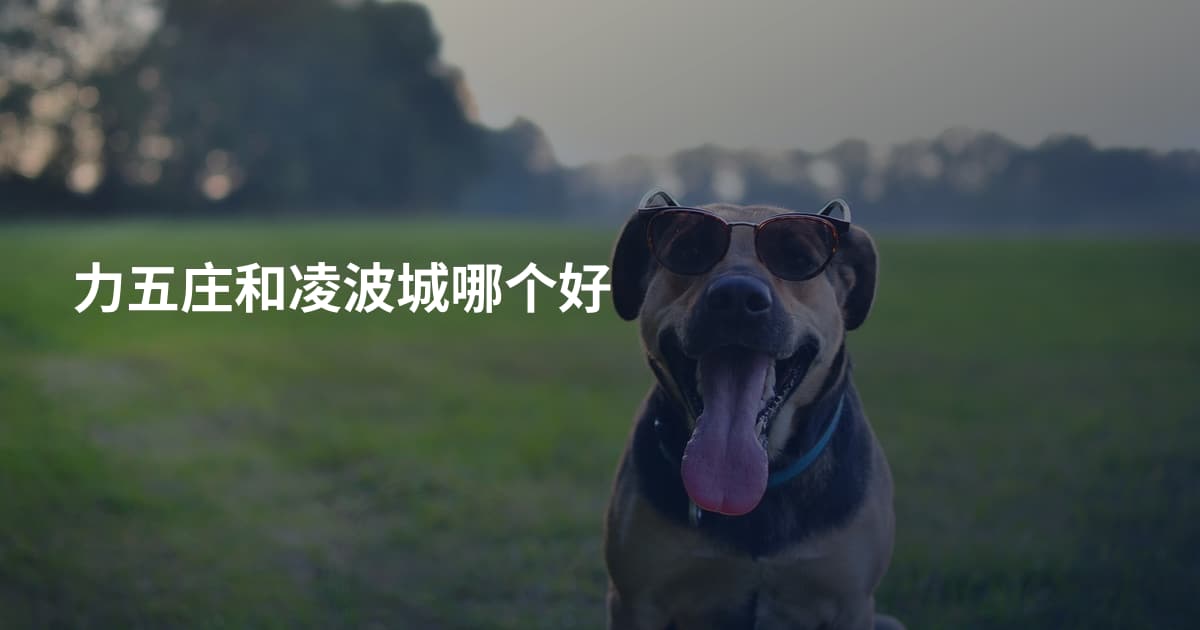 力五庄和凌波城哪个好