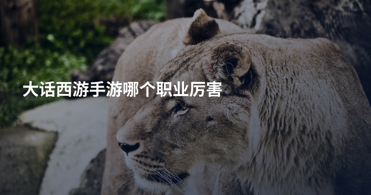 大话西游手游哪个职业厉害