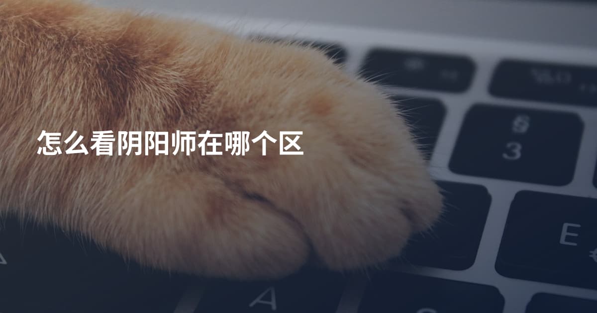 怎么看阴阳师在哪个区