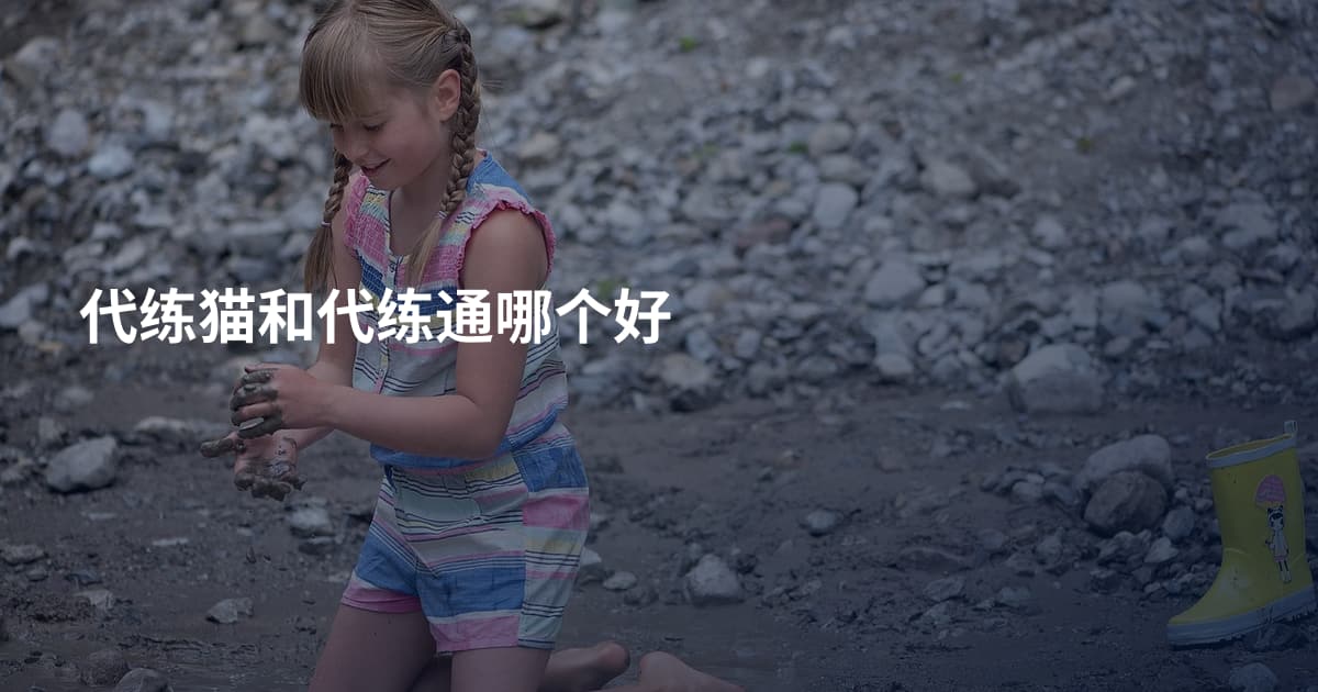 代练猫和代练通哪个好