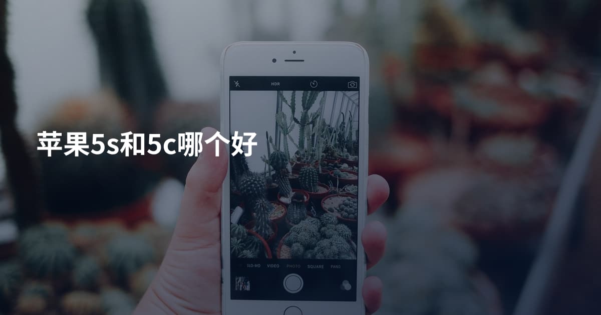 苹果5s和5c哪个好