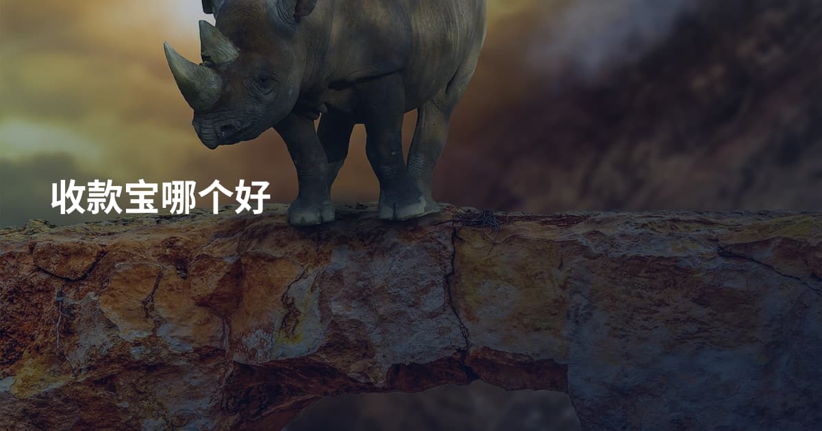 收款宝哪个好