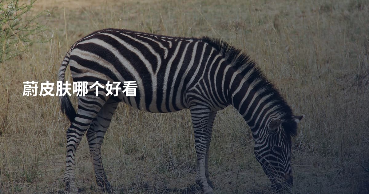 蔚皮肤哪个好看