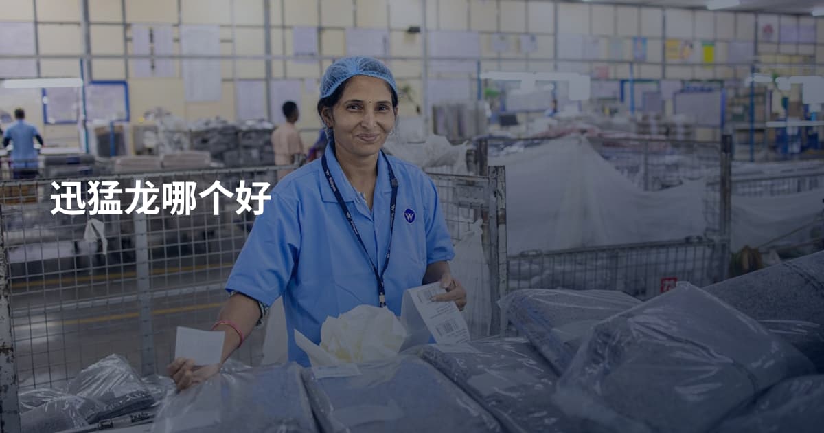 迅猛龙哪个好