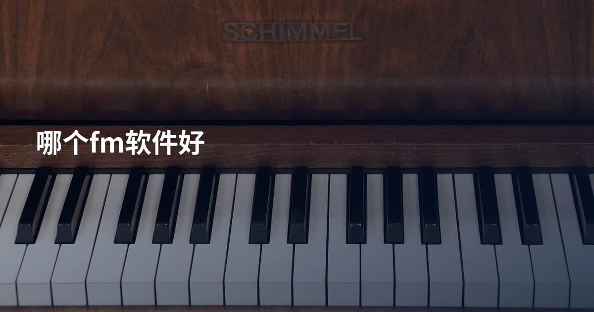哪个fm软件好