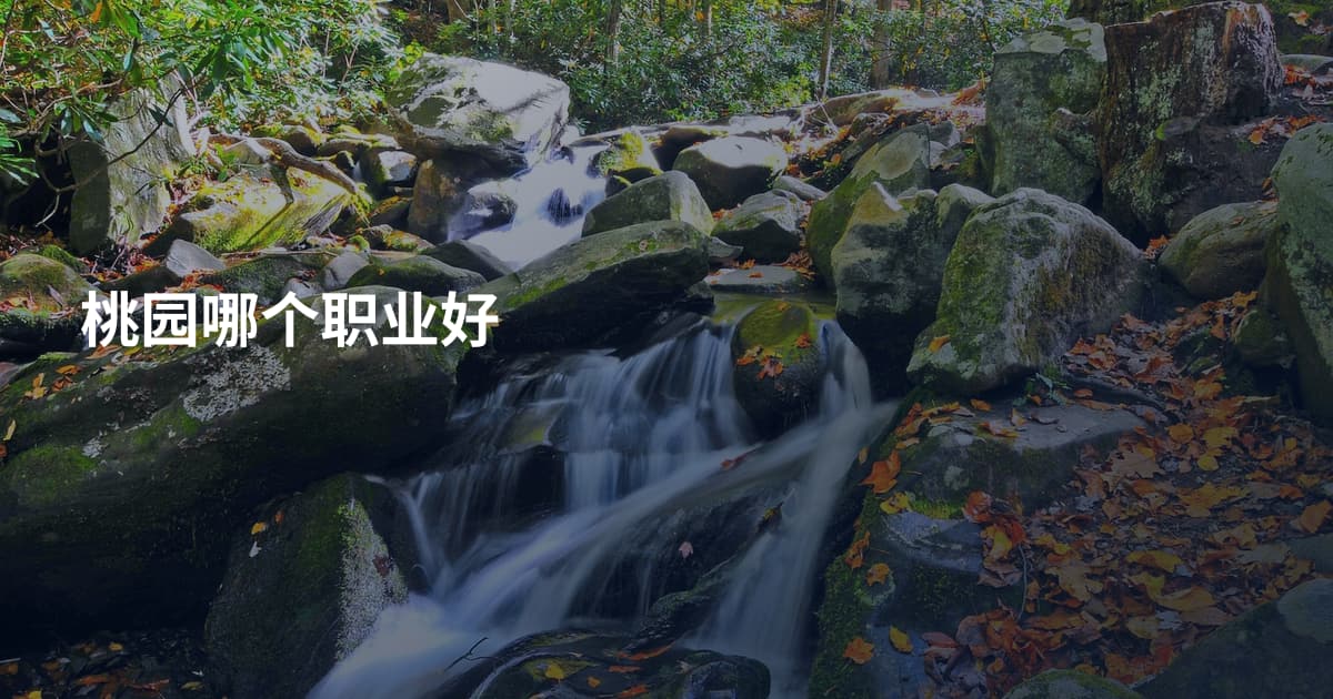 桃园哪个职业好