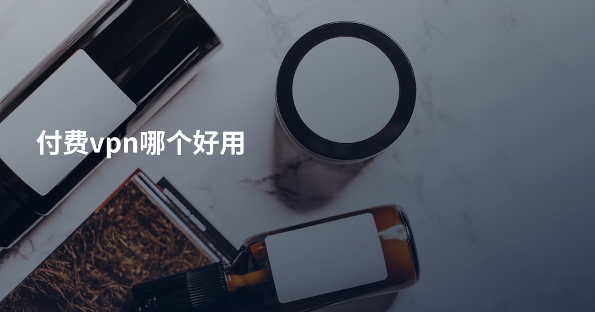 付费vpn哪个好用
