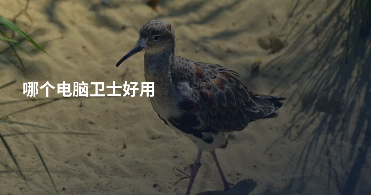 哪个电脑卫士好用