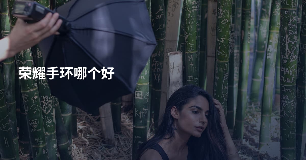 荣耀手环哪个好