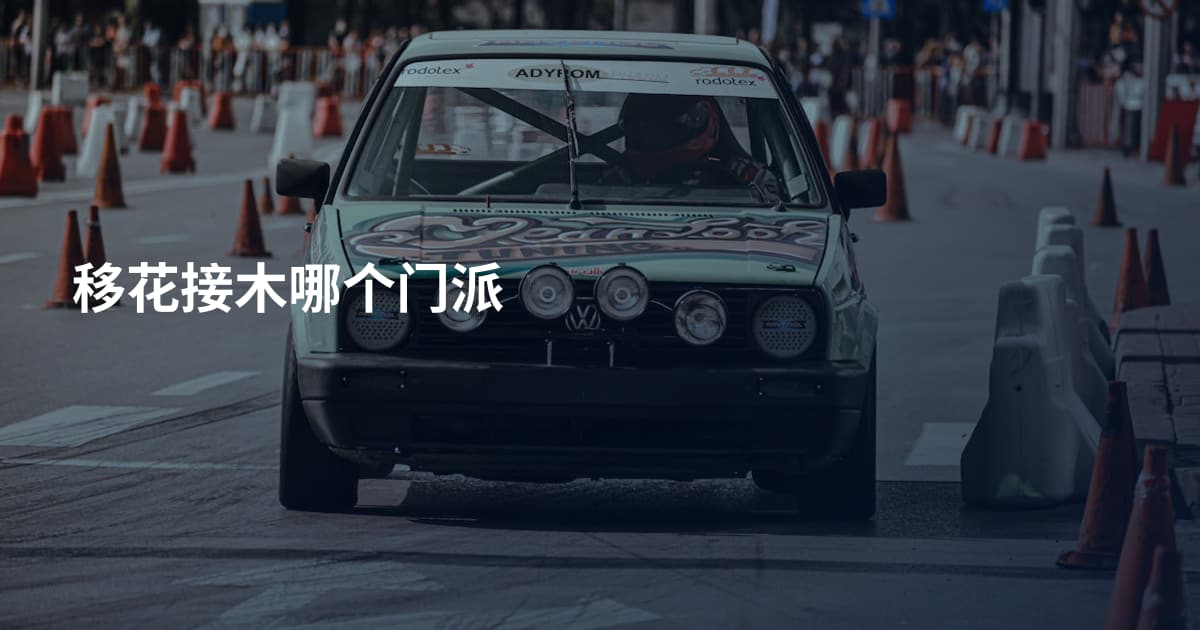移花接木哪个门派