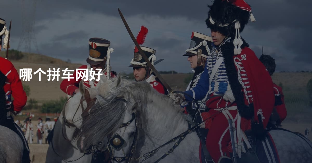 哪个拼车网好