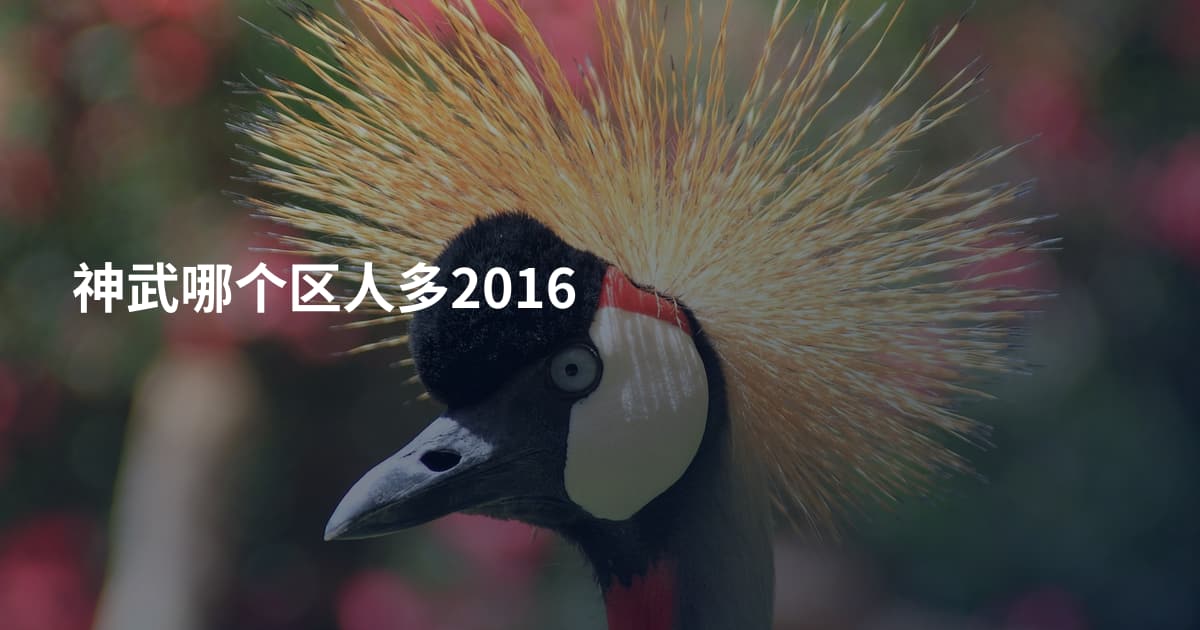 神武哪个区人多2016