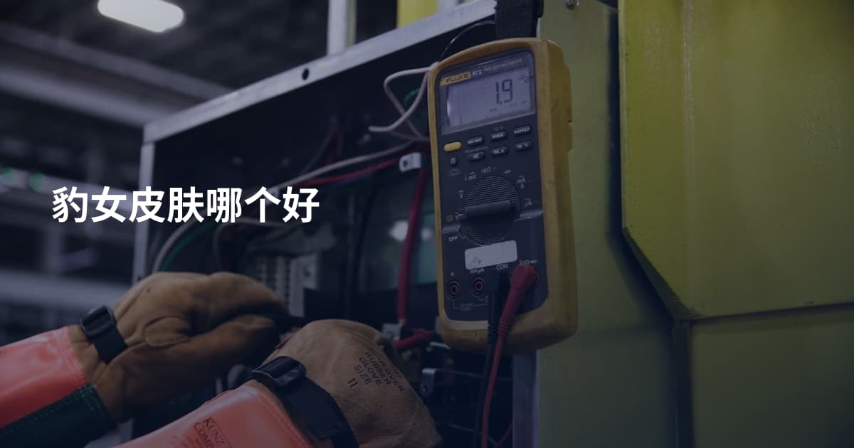 豹女皮肤哪个好