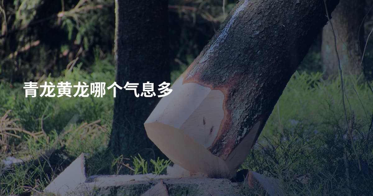 青龙黄龙哪个气息多