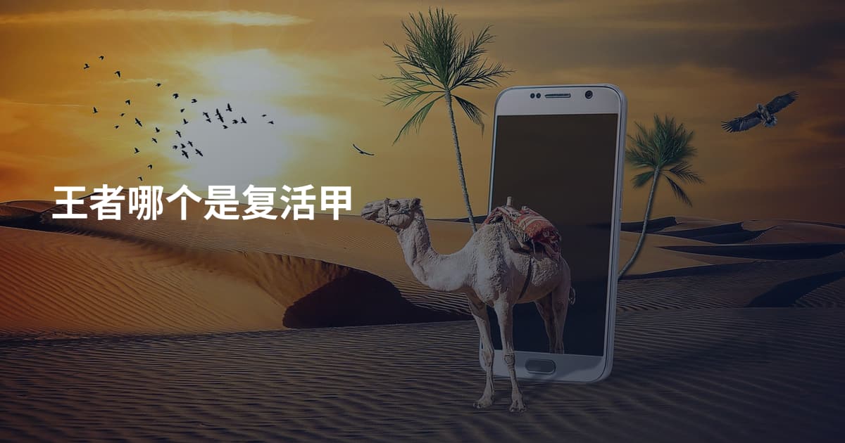 王者哪个是复活甲