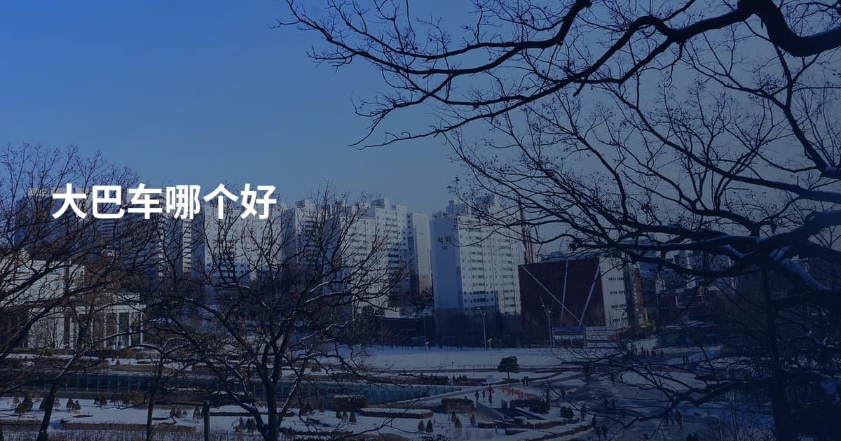 大巴车哪个好