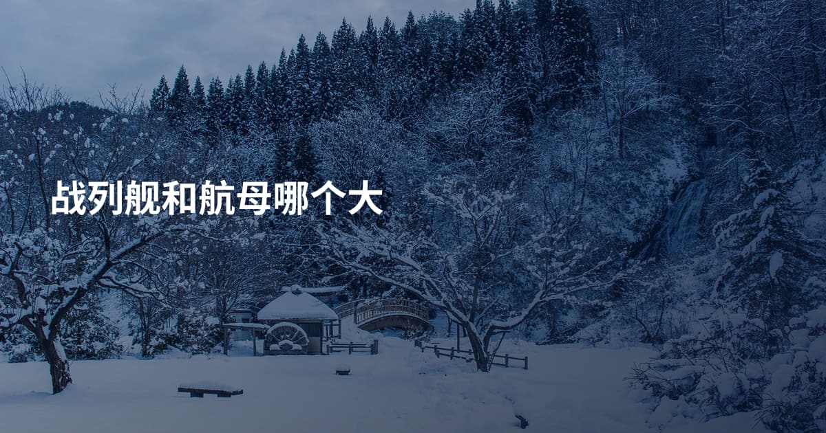 战列舰和航母哪个大