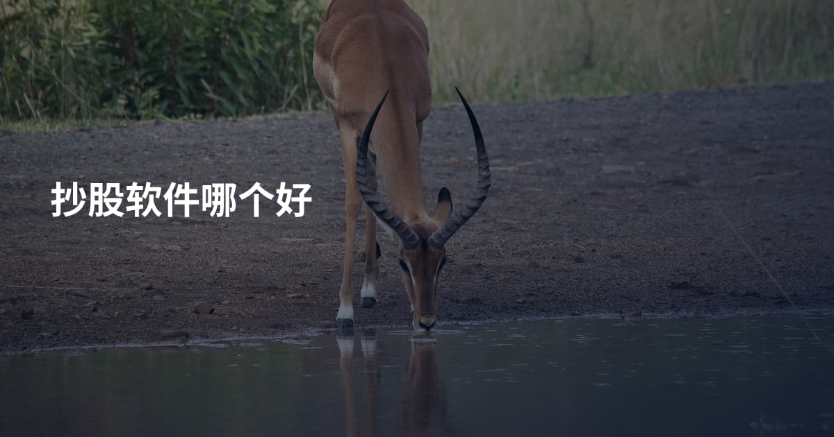 抄股软件哪个好