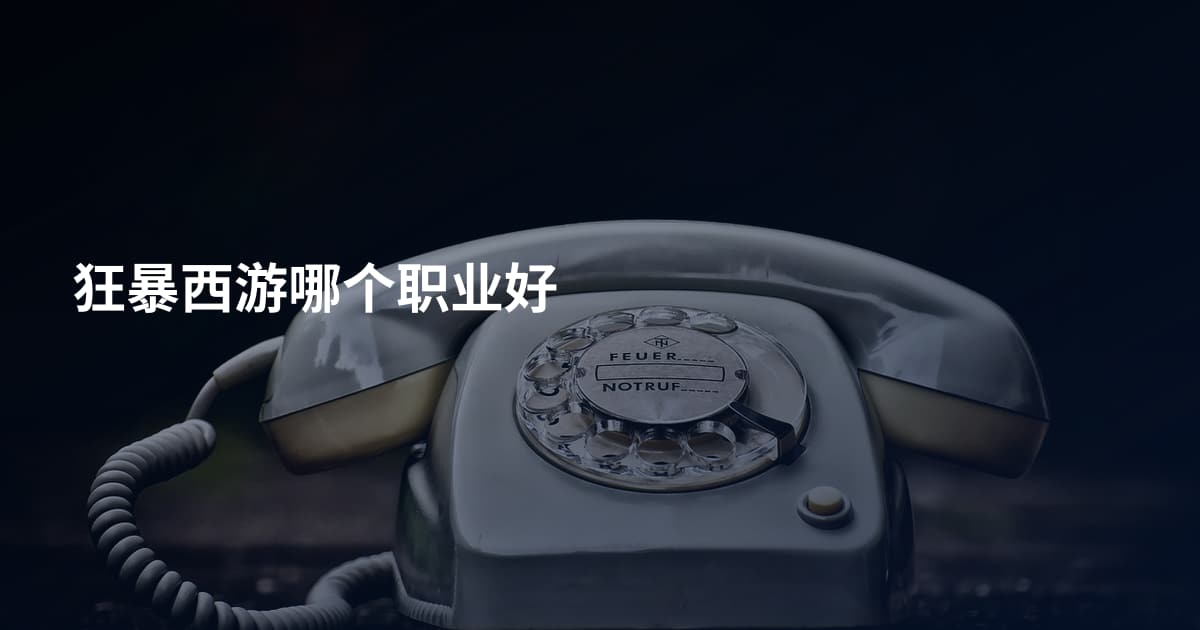 狂暴西游哪个职业好