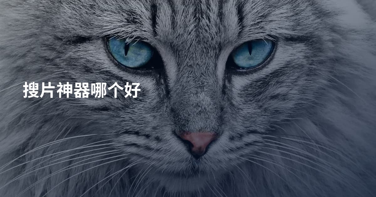 搜片神器哪个好