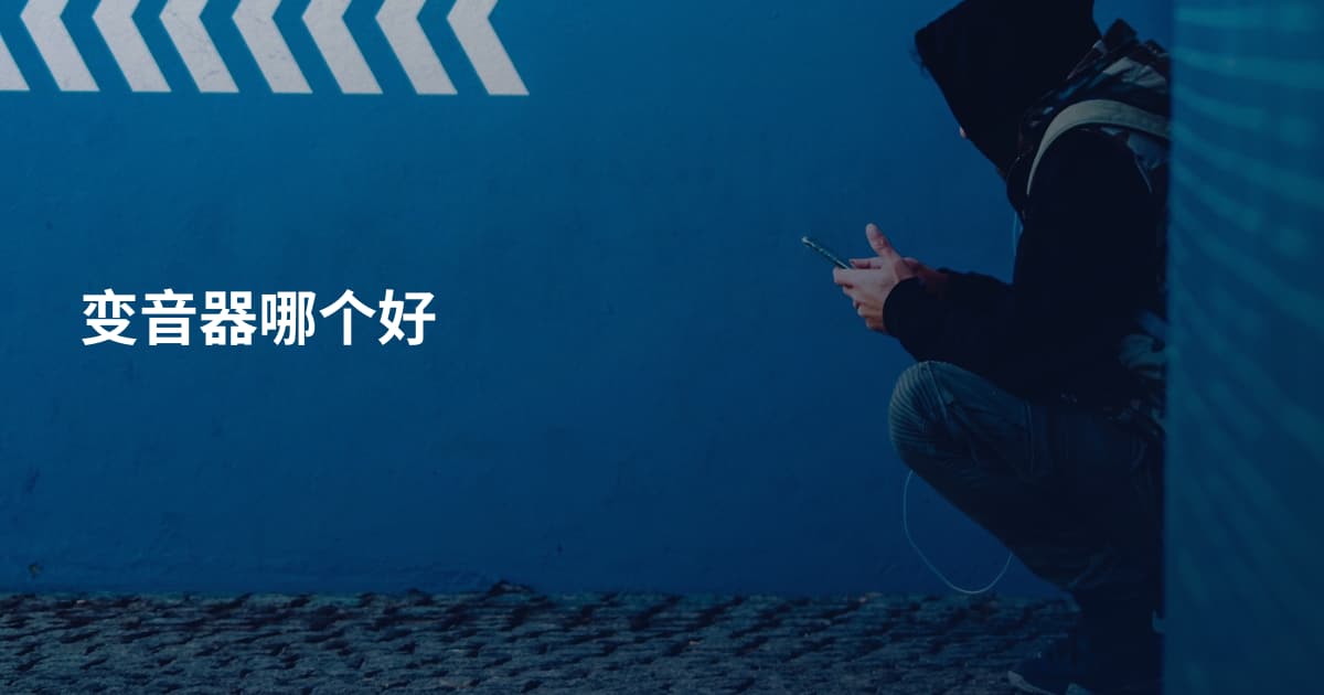 变音器哪个好