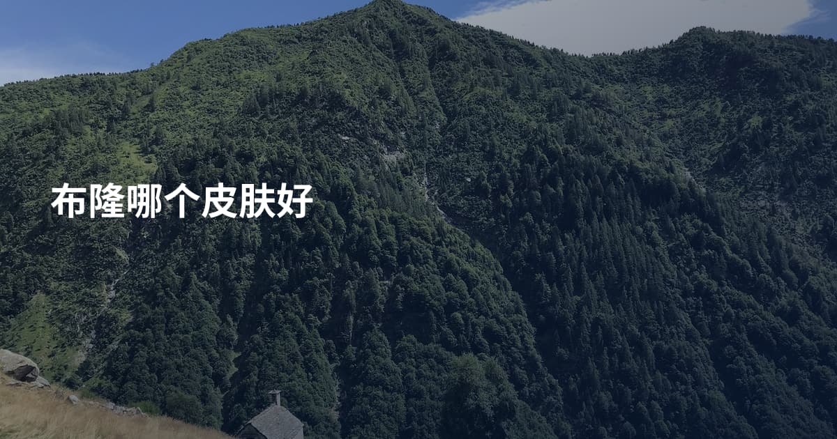 布隆哪个皮肤好