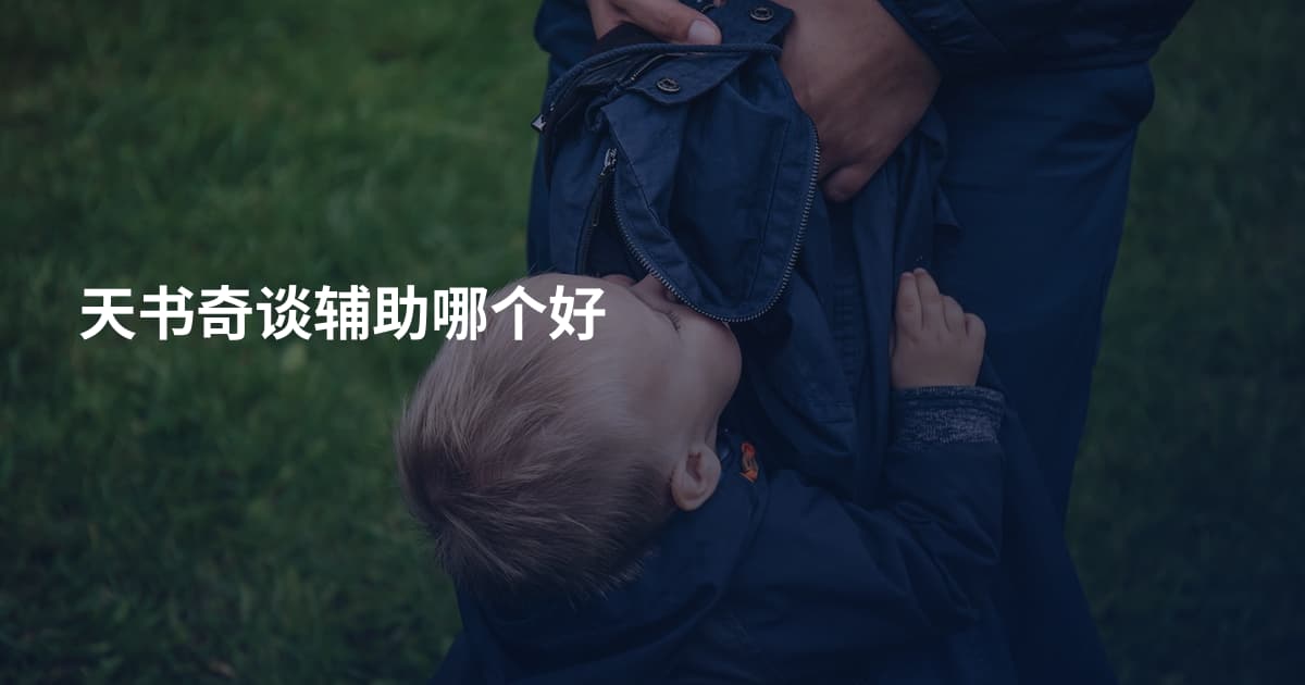 天书奇谈辅助哪个好