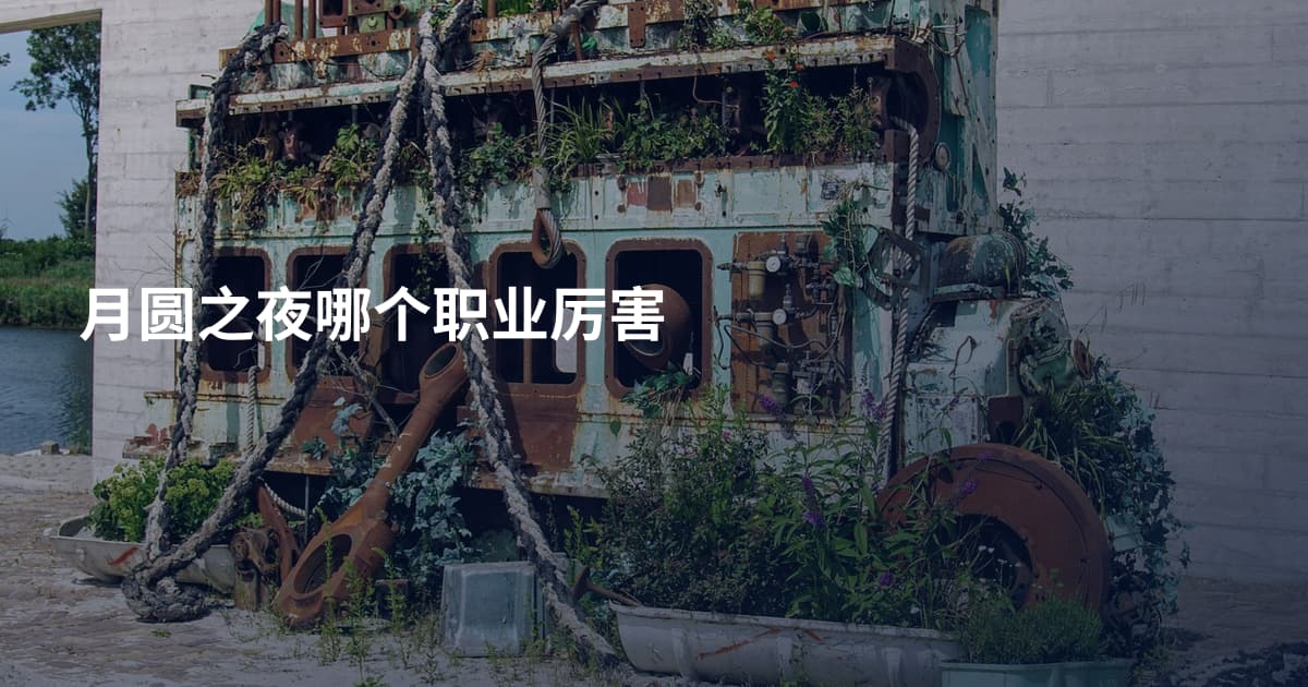 月圆之夜哪个职业厉害