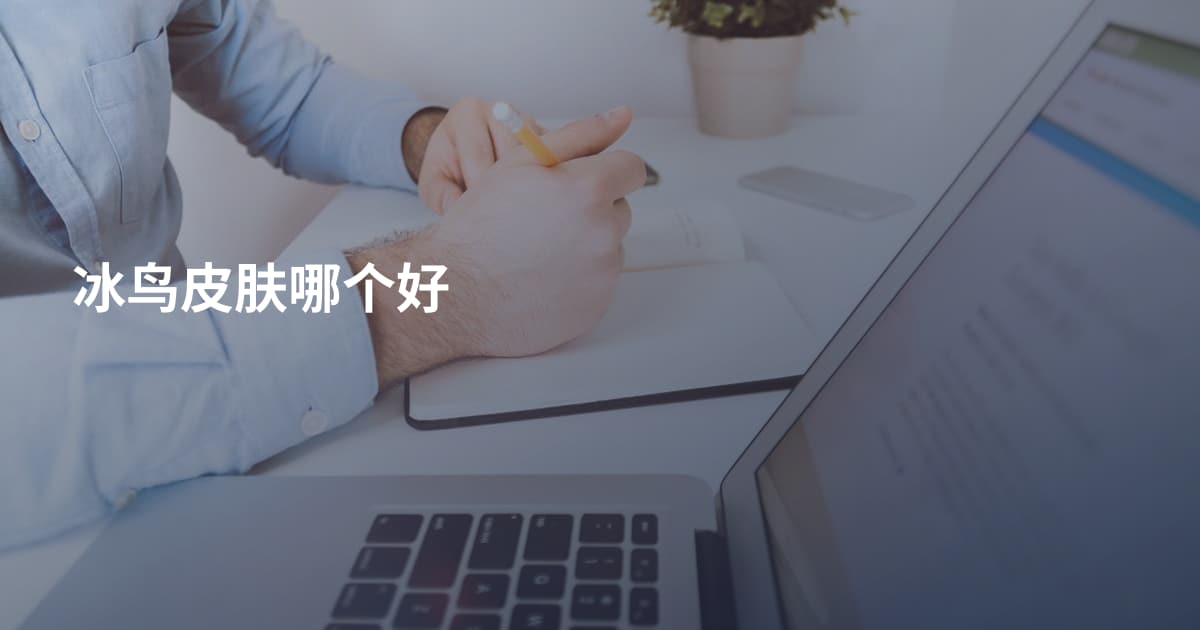 冰鸟皮肤哪个好