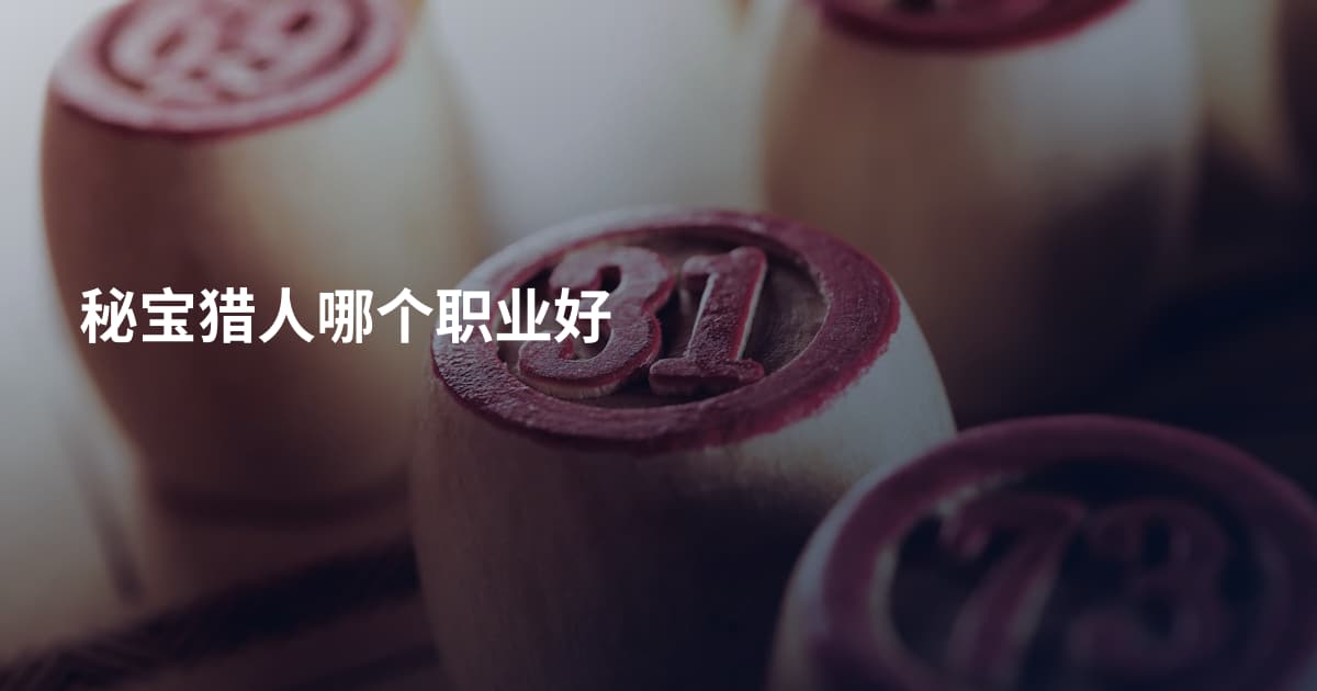 秘宝猎人哪个职业好