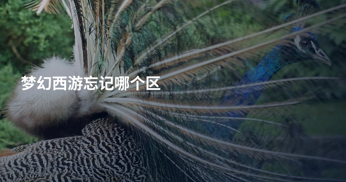 梦幻西游忘记哪个区