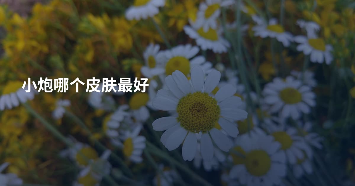 小炮哪个皮肤最好