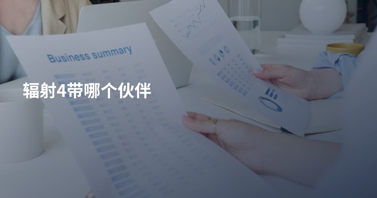 辐射4带哪个伙伴