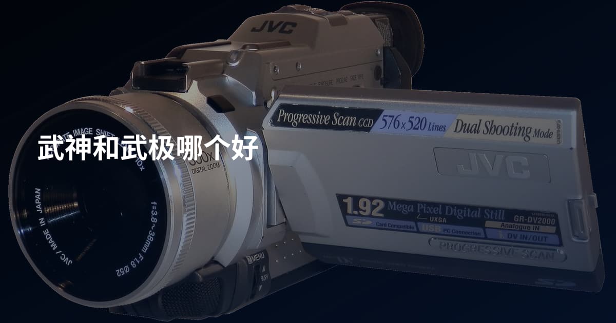 武神和武极哪个好