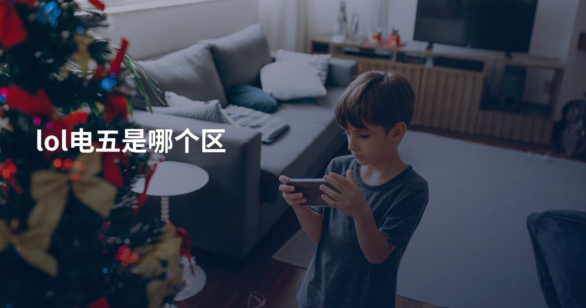 lol电五是哪个区