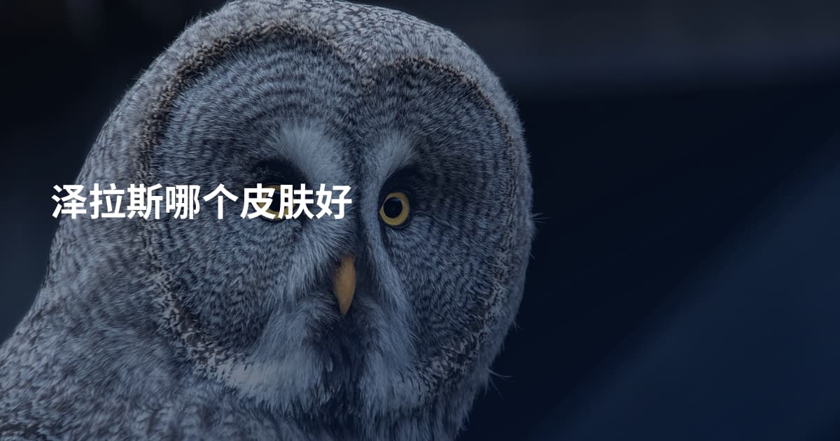 泽拉斯哪个皮肤好