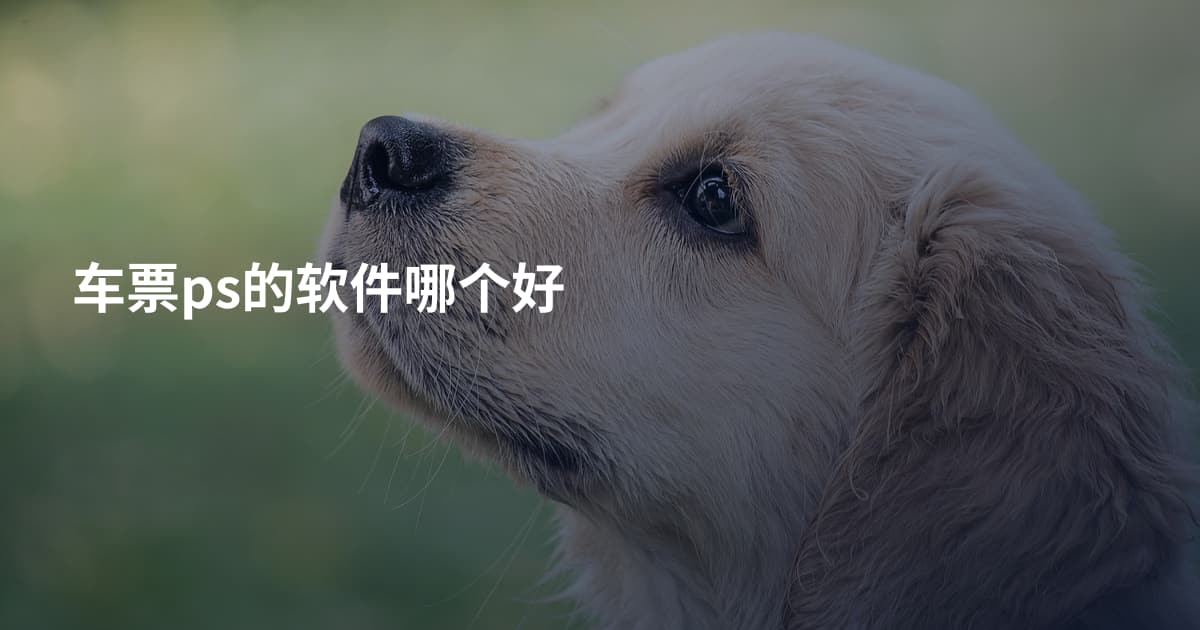 车票ps的软件哪个好