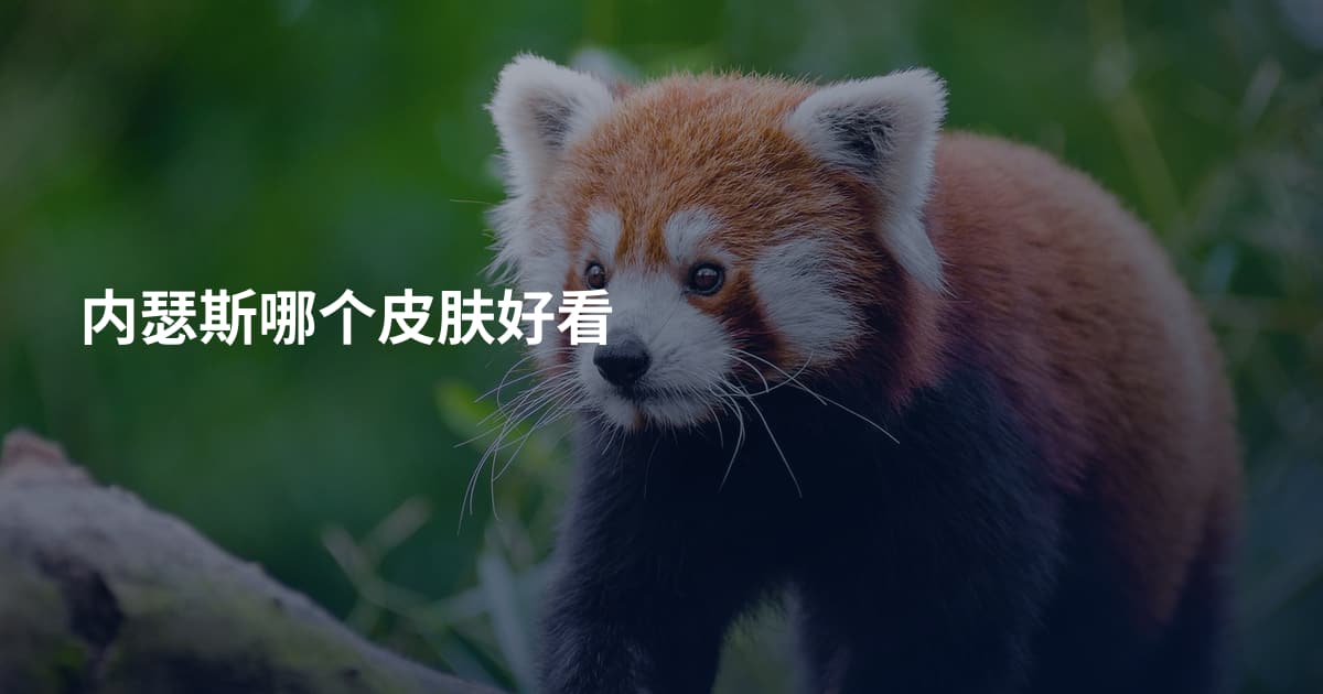 内瑟斯哪个皮肤好看